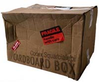 ugly box containing Squarcialupi codex