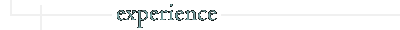 -- experience --